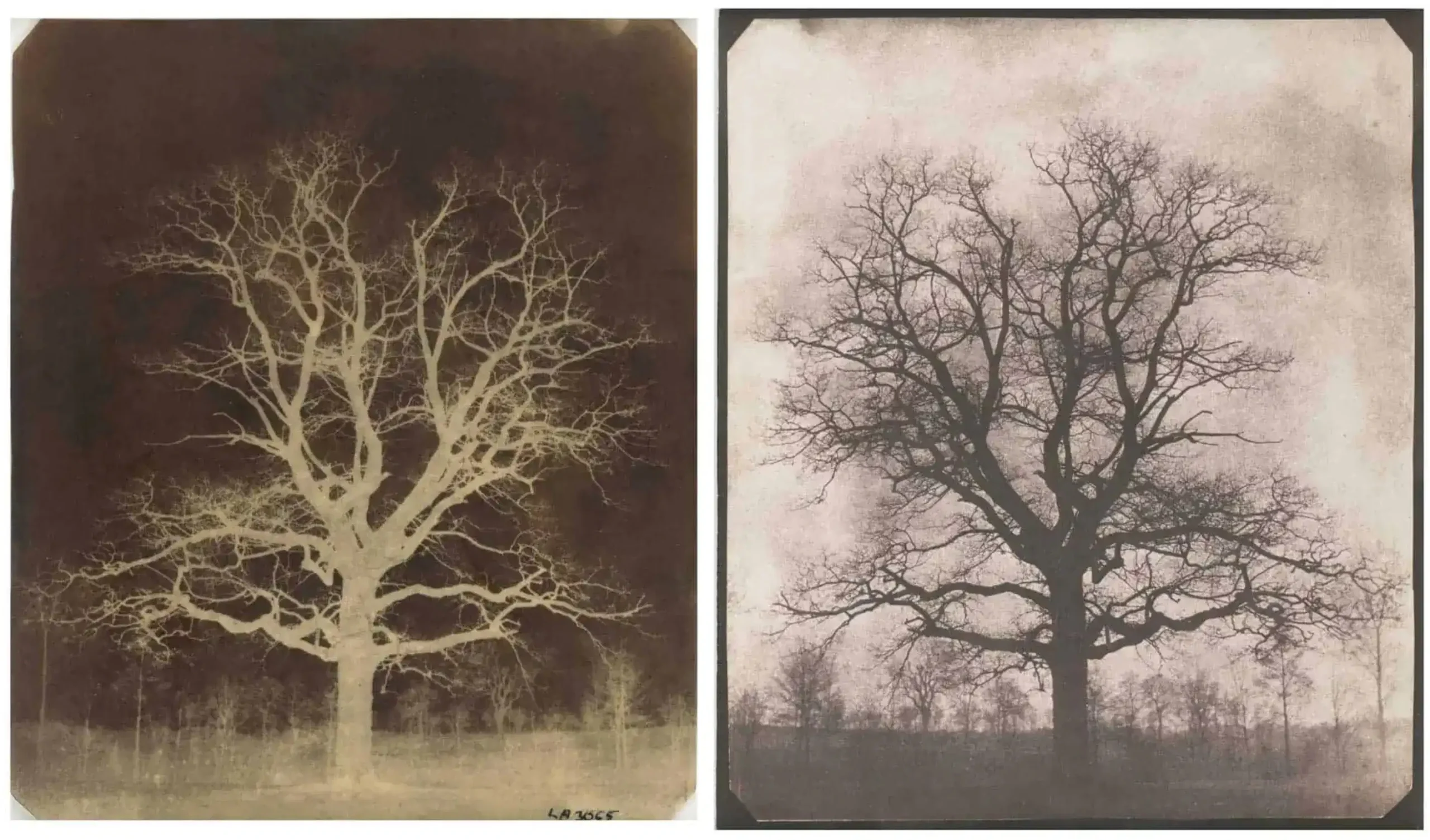Calotype de William Henry Fox Talbot